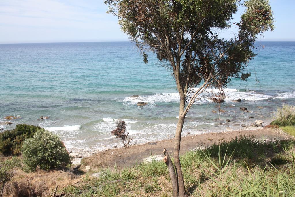 Villa Gianitsi آغيوس غوذيوس المظهر الخارجي الصورة